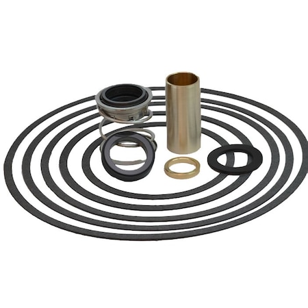 Pump Rebuild Kit For Armstrong® Models 4280 And 4380